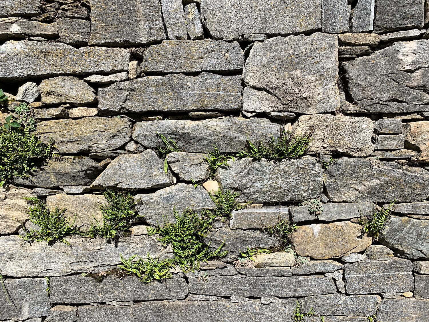 Steinmauer im Tessin aus radioaktivem Gneis